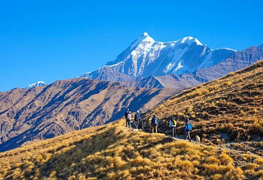 Latest Weather Update for the Treks - November 3, 2025